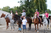 Pension pour chevaux ambiance familiale et sportive